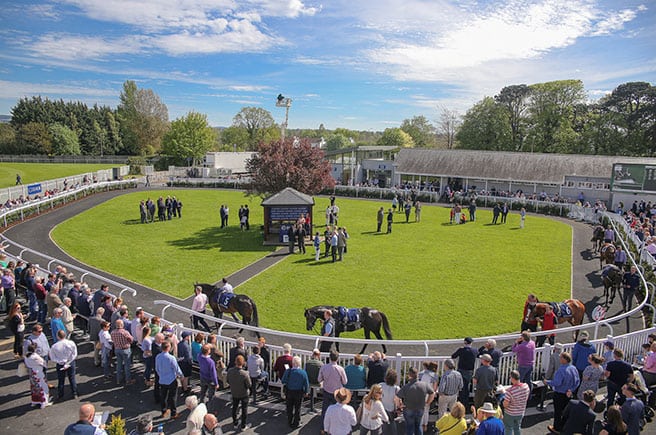 Naas Parade Ring